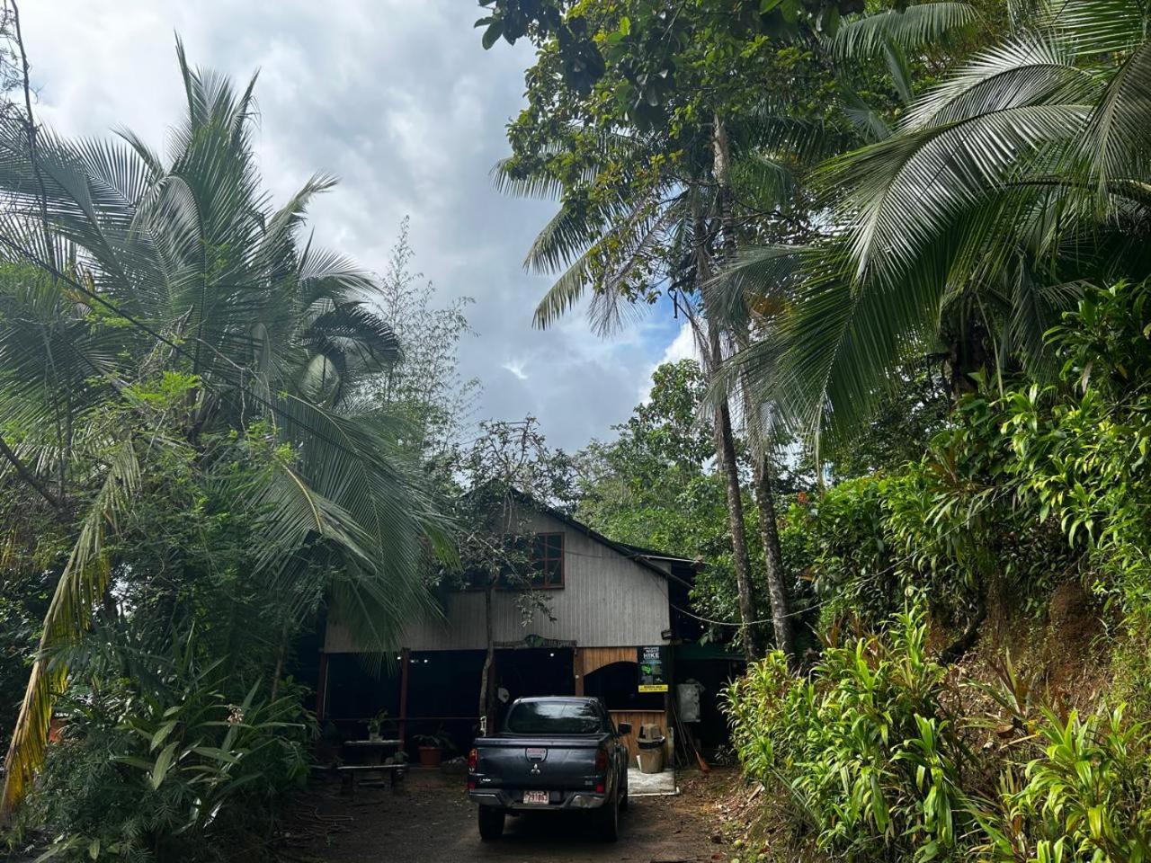 Nativos Corcovado Cabins Drake Bay Zewnętrze zdjęcie